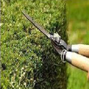 security_services_in_chennai